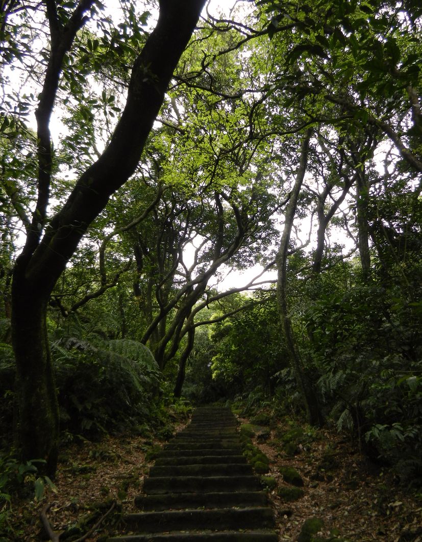 七星山步道 李文玉攝