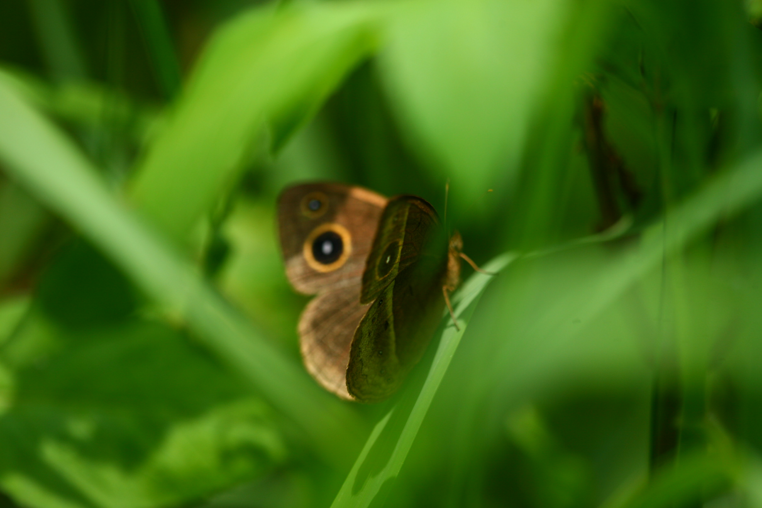 台北汐止八連路IMG_9637 (24).jpg