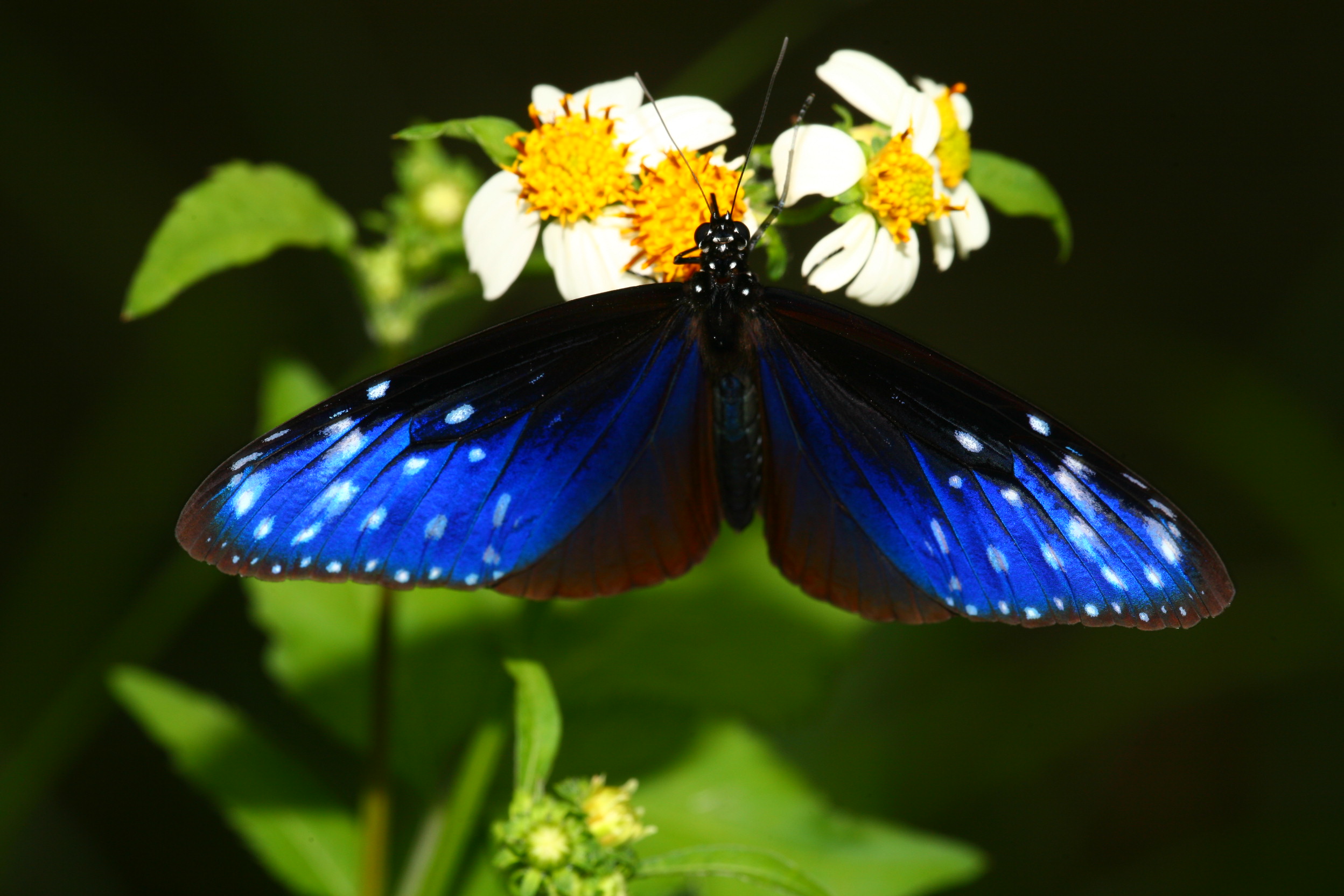 基隆友蚋IMG_0429 (10).jpg