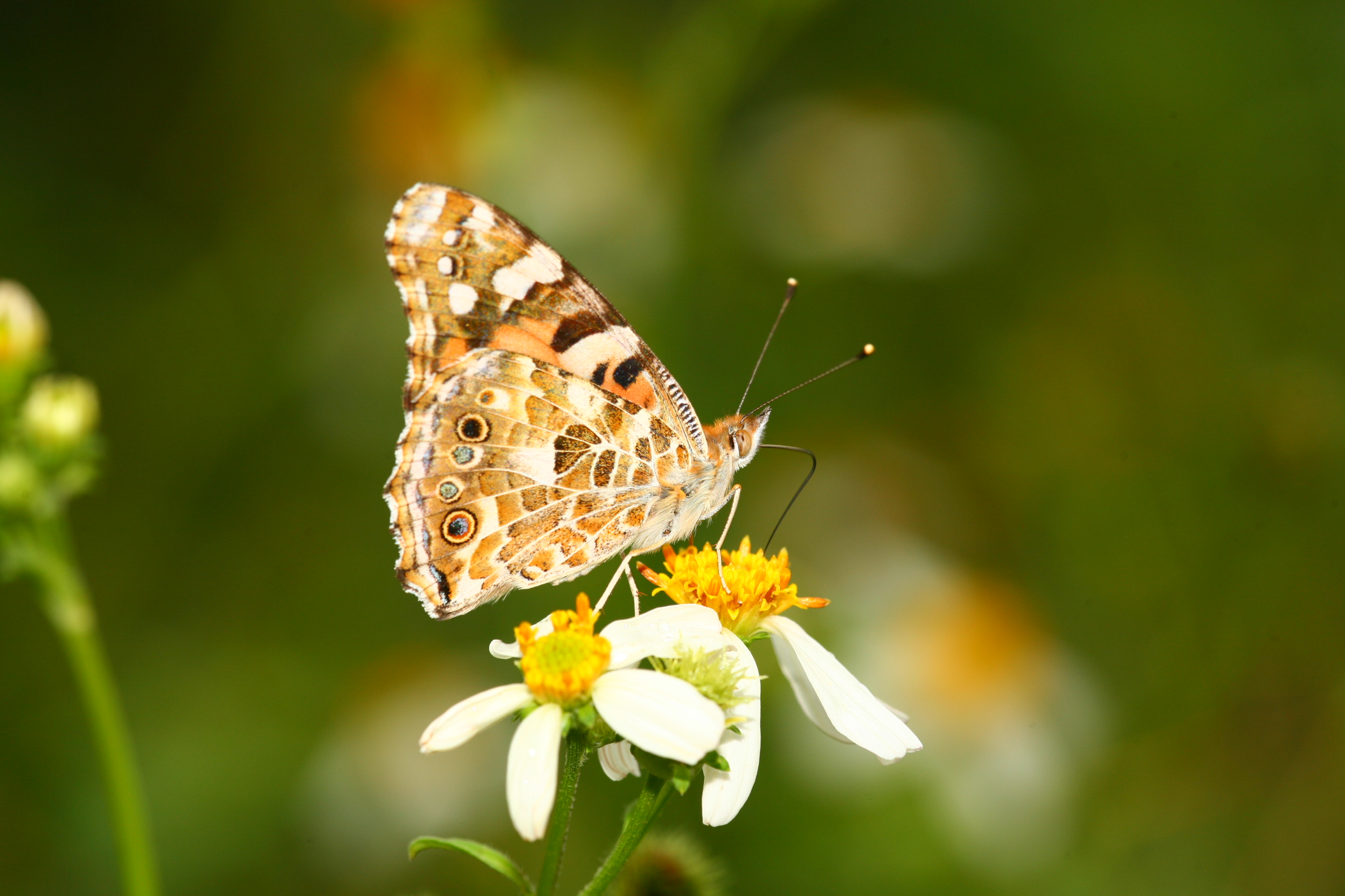 基隆友蚋IMG_1181 (6).jpg