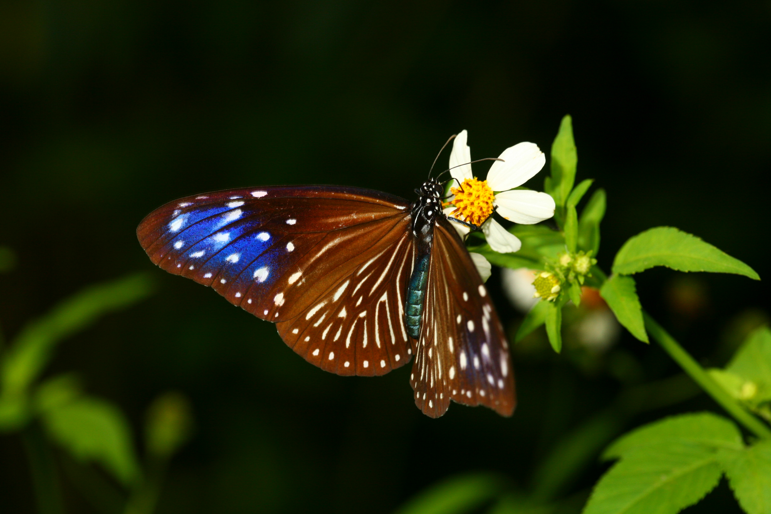 基隆友蚋IMG_3153 (17).jpg